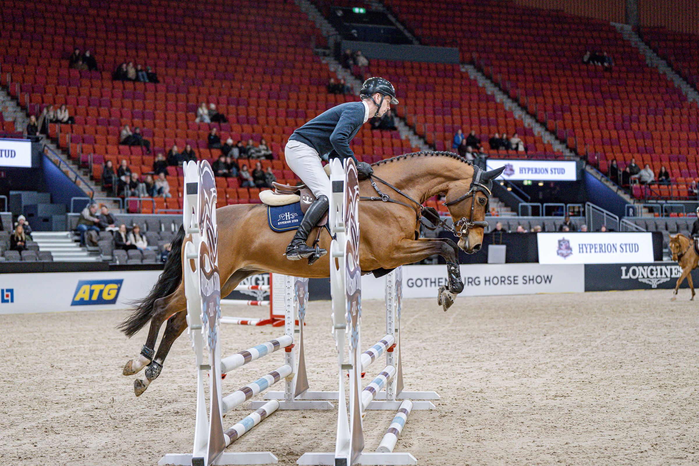 Die siebenjährige Magic Touch. Foto: GHS/Kim C. Lundin