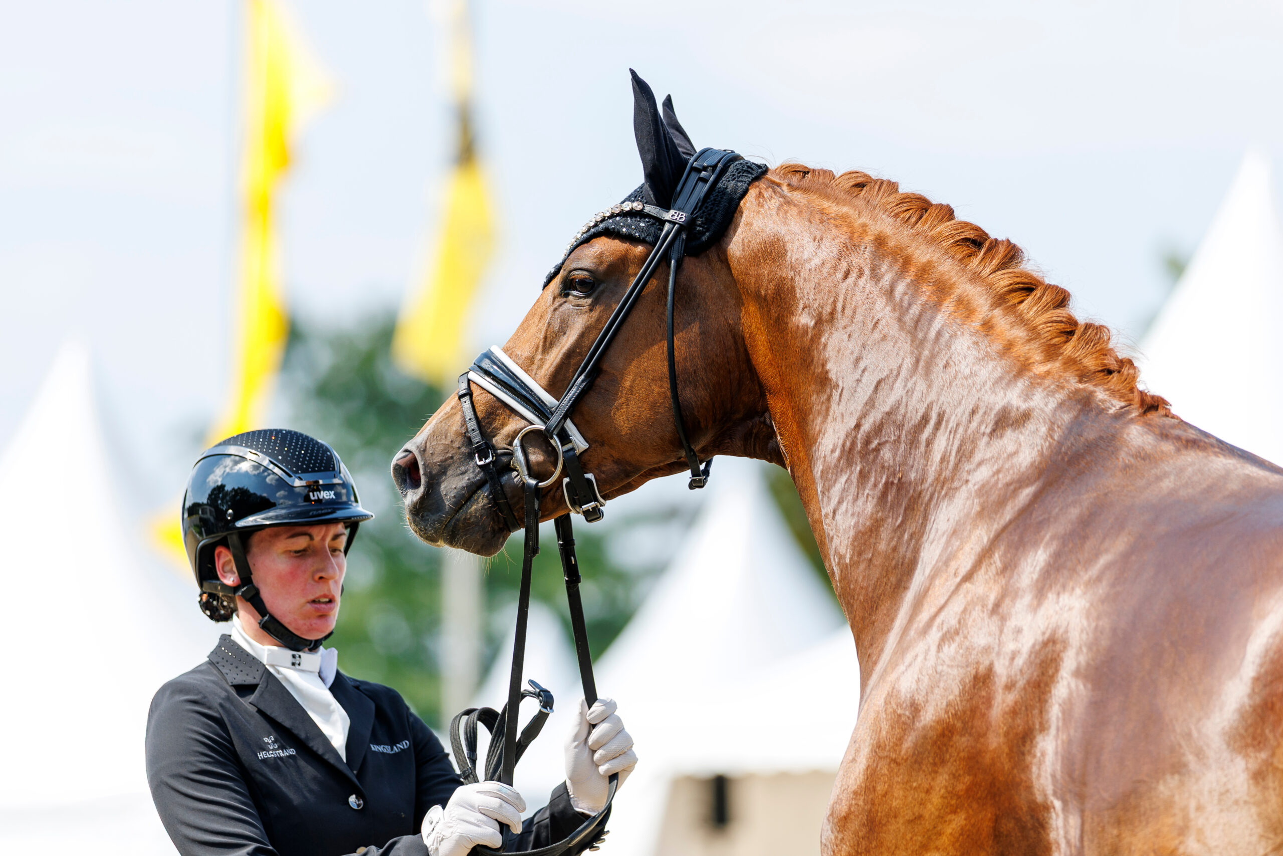 Die Vorstellung an der Hand entfällt künftig sowohl bei den Drei- als auch bei den Vierjährigen auf dem Reitpferdeviereck des Bundeschampionats. Foto: sportfotos-lafrentz.de