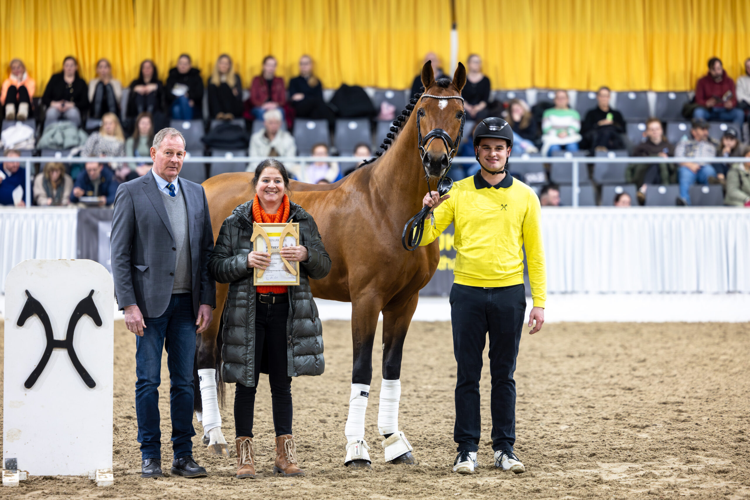 Hannovers ausgezeichnete Junghengste