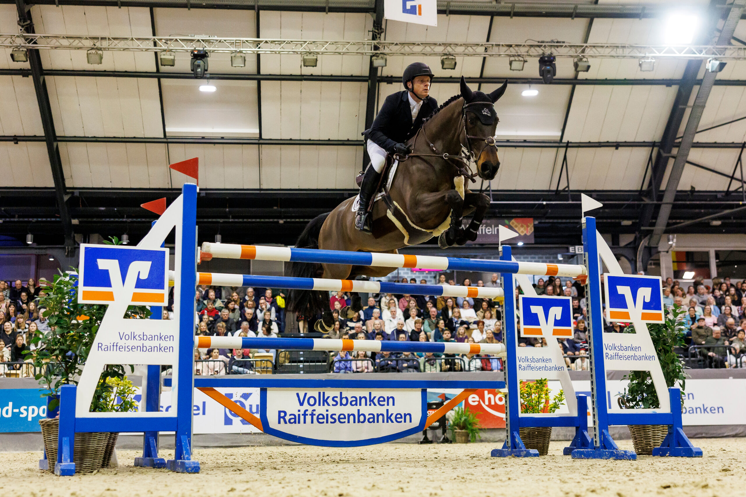 He who can, can – Willem Greve wins, Holsteiner youngsters convince