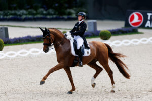 CDI4* in Lier mit Purzel in Bestform