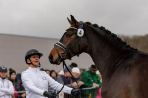 Hannover erkennt drei Siegerhengste und einen Spitzensportler an