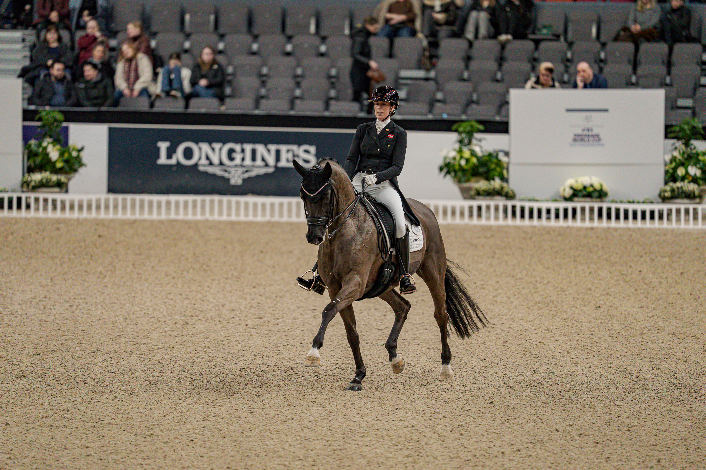 Heiline’s Danciera siegreich zurück im Viereck