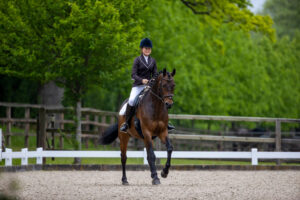 Turniersport-Statistik: alles rückläufig – fast