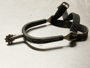 LPO-Änderungen 2026: Von Aus für Rädchensporen bis Zäumungen erklären