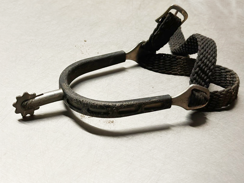 LPO-Änderungen 2026: Von Aus für Rädchensporen bis Zäumungen erklären