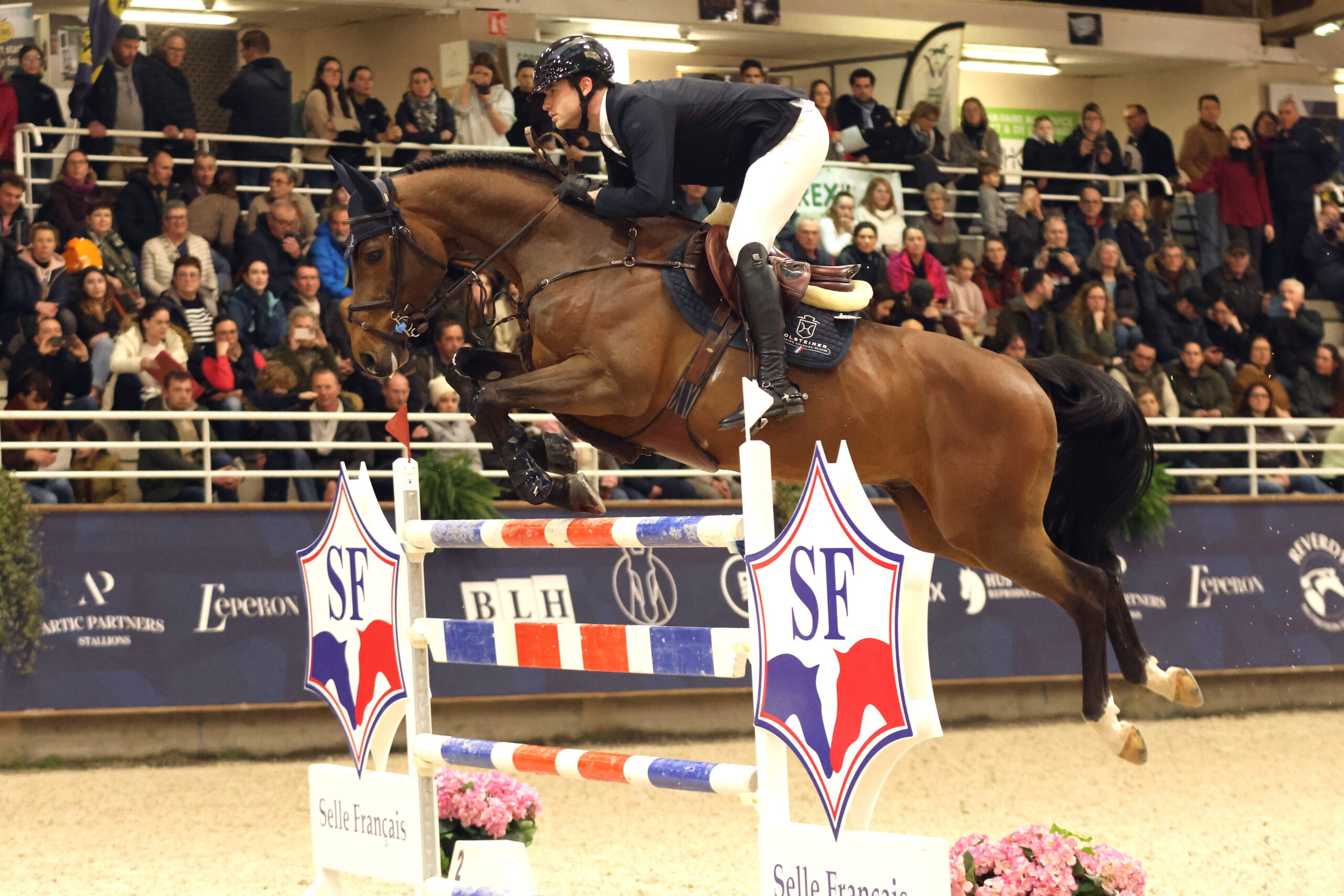 United Way and Lukas Wenz promoted the Holsteiner horse in France. Photo: Timothée Pequegnot