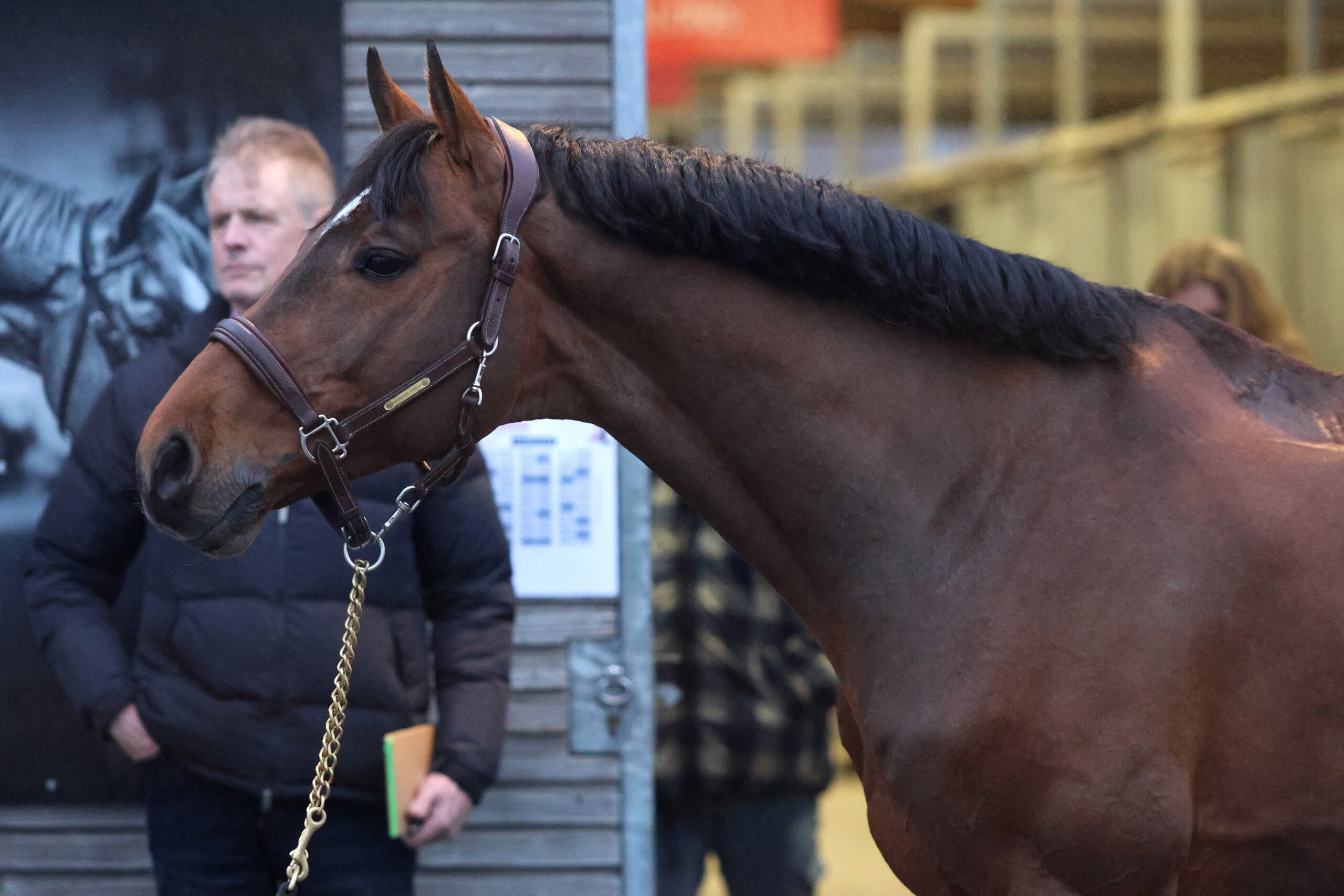 United Way - not only convincing on the jump, but also without a rider. Photo: Timothée Pequegnot