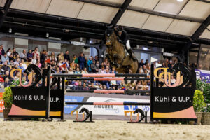 Championat mit belgischem Evergreen und Holsteiner Nachwuchs an der Spitze