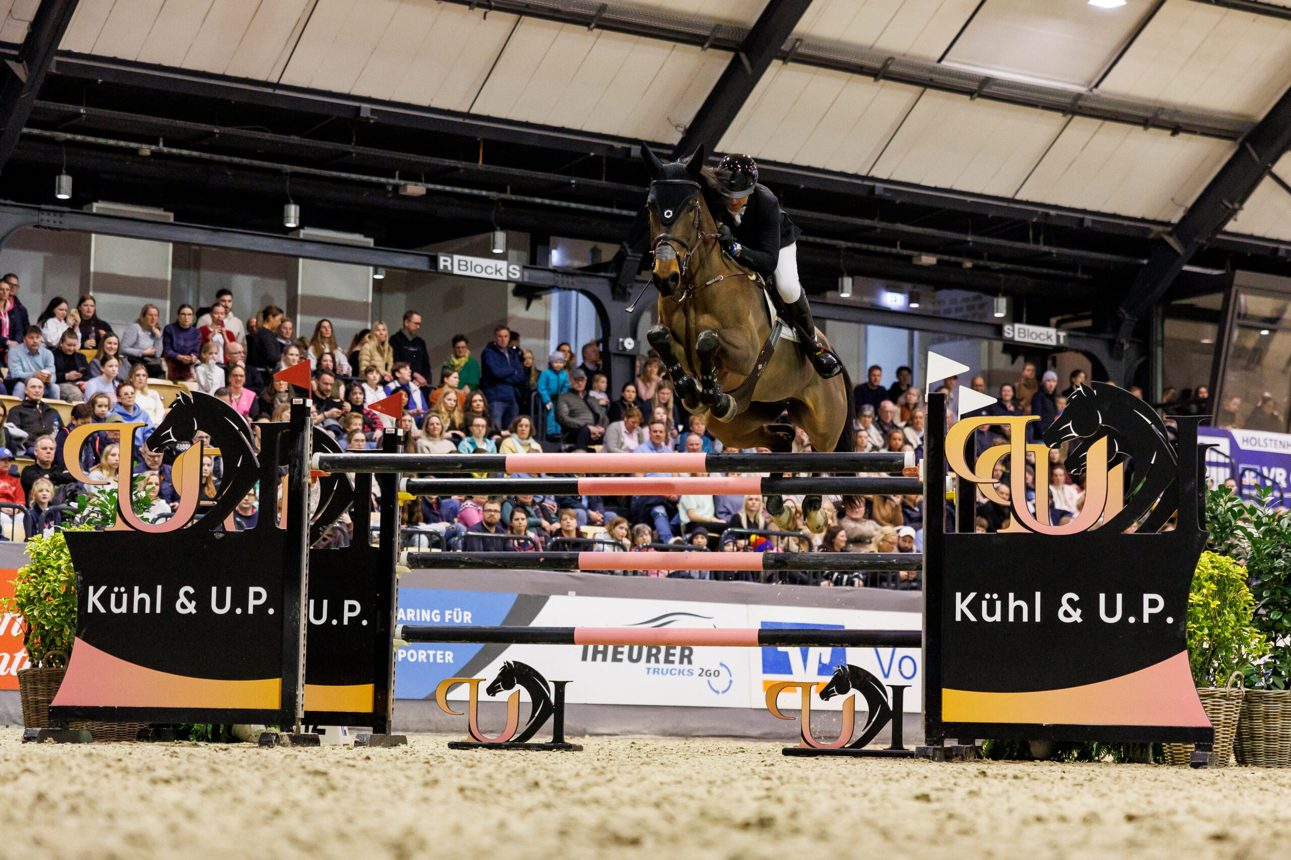 Championat mit belgischem Evergreen und Holsteiner Nachwuchs an der Spitze