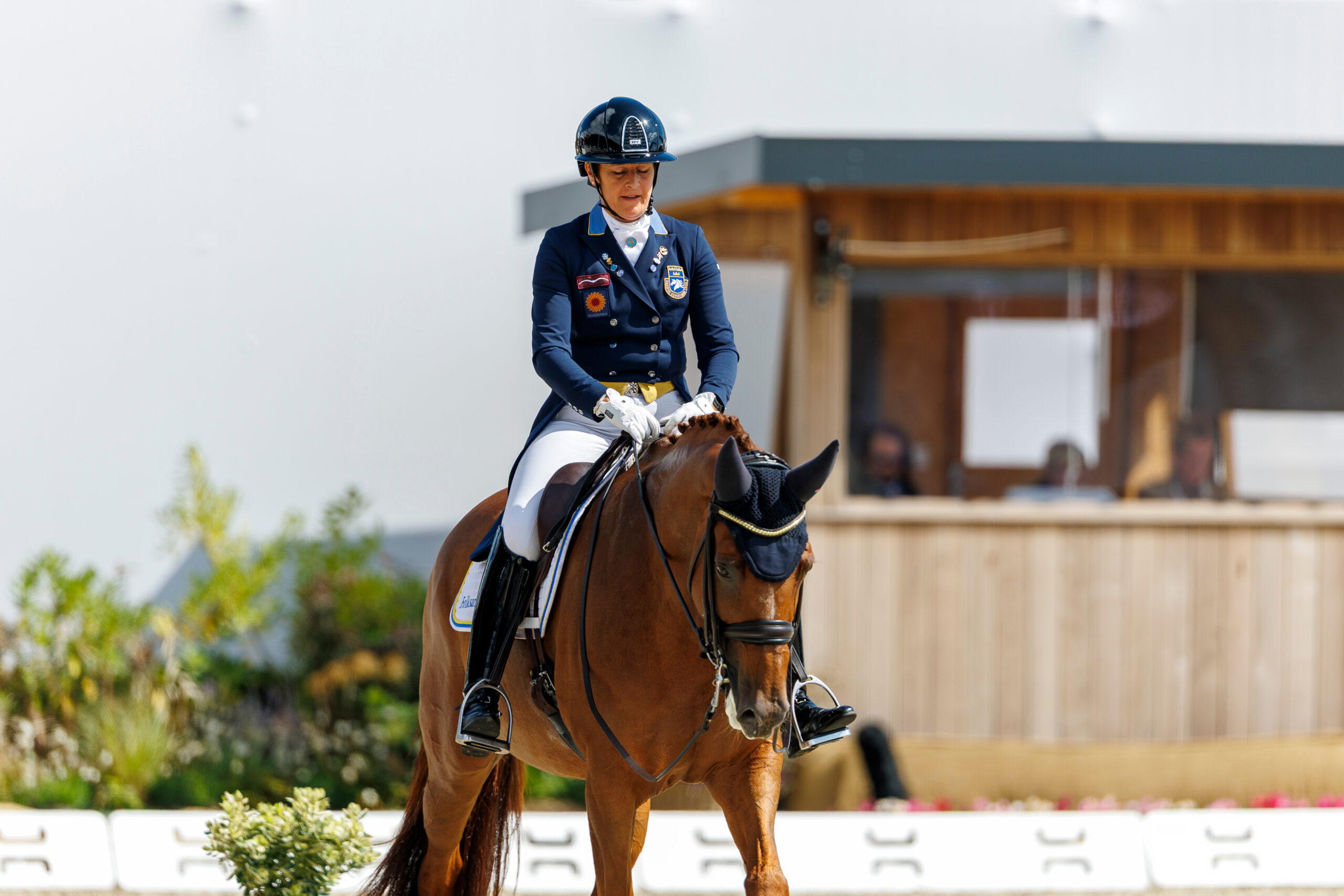 Erster Intermédiaire II-Sieg für So Perfect und Tinne Vilhelmson-Silfvén