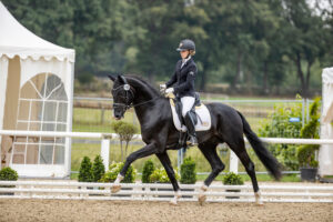 S-siegreicher Bundeschampionatsfinalist für spanischen Olympiareiter