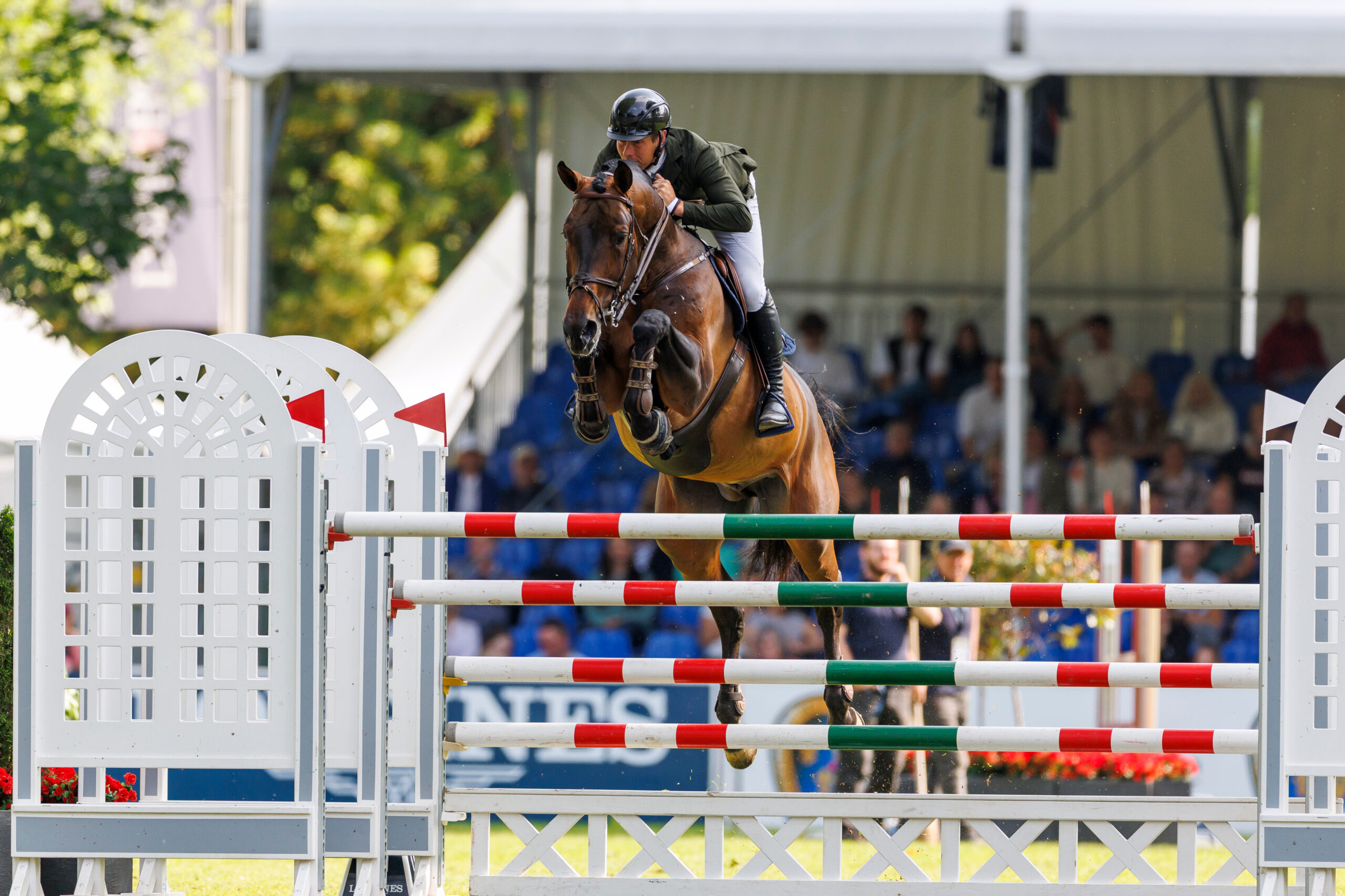 Deutsche Springreiter sahnen in den Emiraten ab