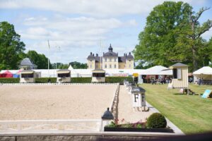 Drama in the Swedish Equestrian Federation, part three: reshaping the leadership