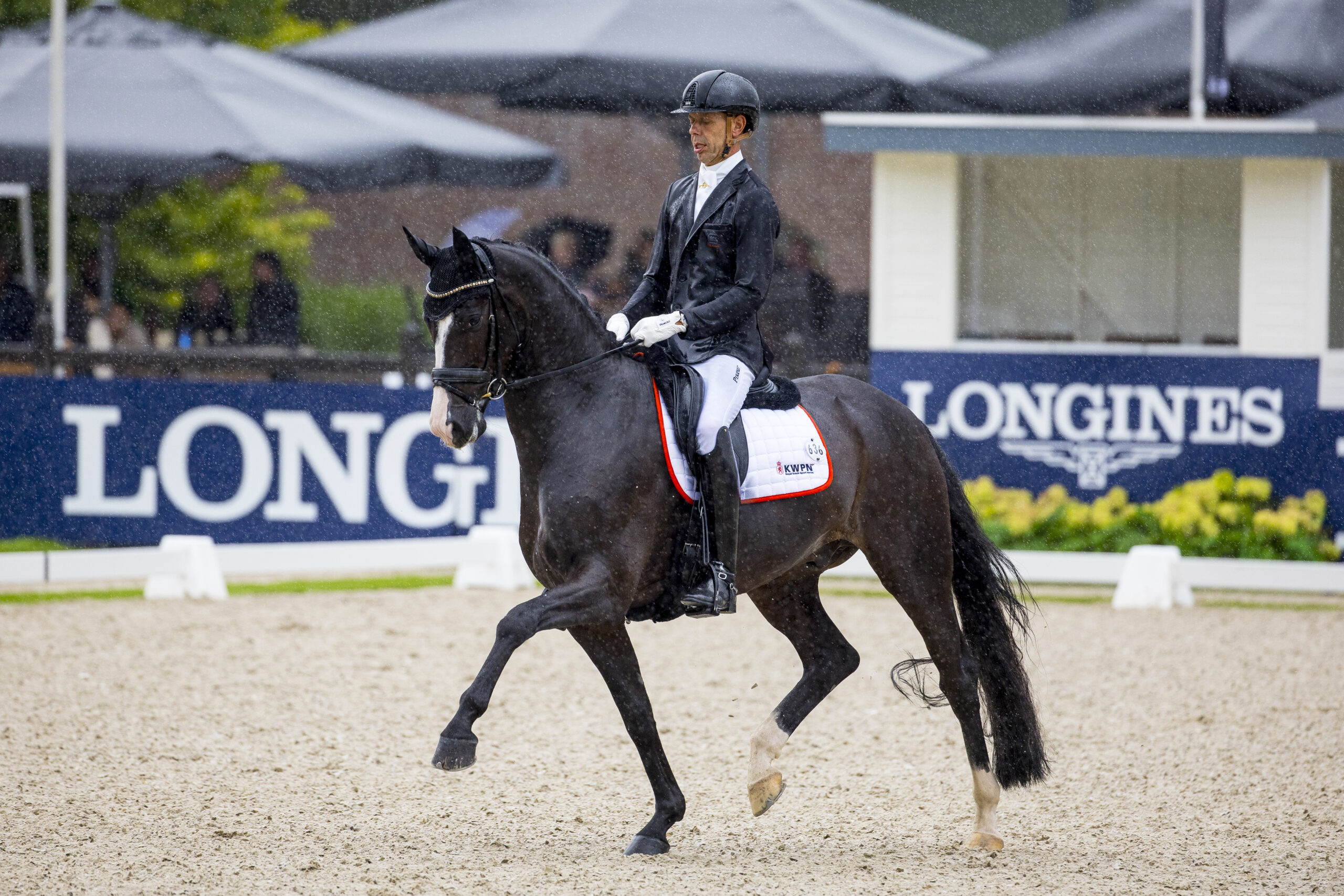 In the pouring rain, My Toto became World Champion of six-year-old dressage horses in 2023. Photo: FEI/Leanjo de Koster