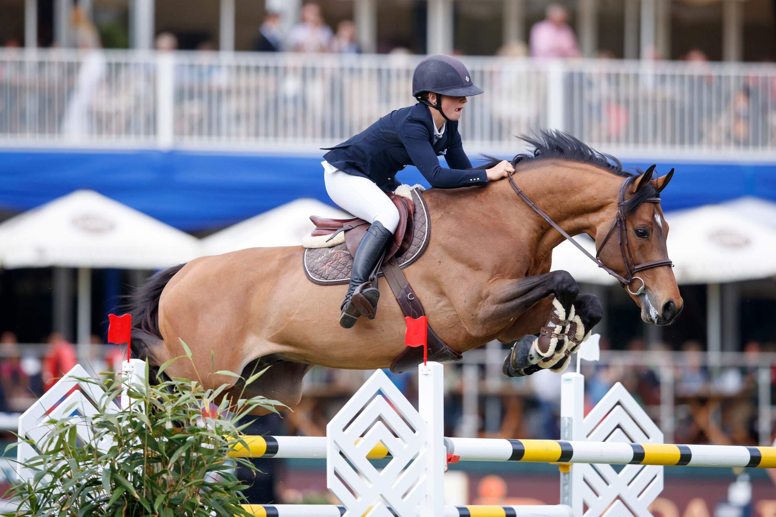 Ein ganz besonderes Pferd: Sanne Thijssens Con Quidam. Foto: sportfotos-lafrentz.de