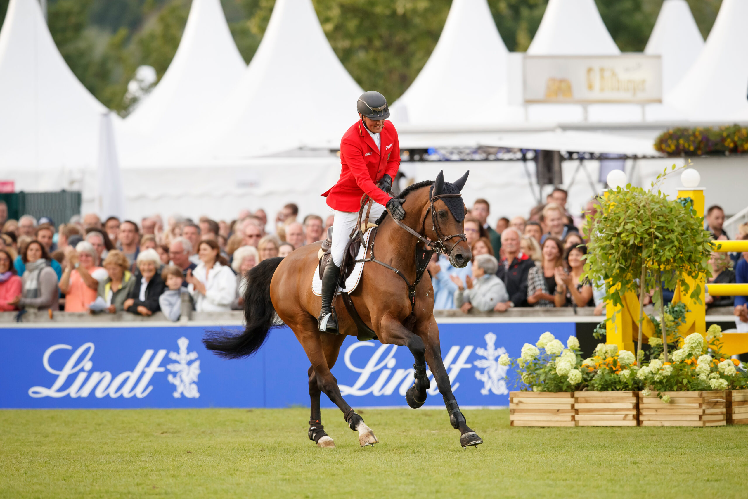 Chacco's Son war das Pferd, das Maurice Tebbel den Sprung in den internationalen Spitzensport ermöglichte. Foto: Sportfotos-lafrentz.de