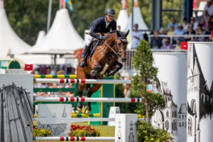 Westphalian Chacco’s Son nephew for Harrie Smolders