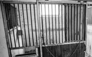 Preis der Besten-Sichtung Munich: Investigations continue