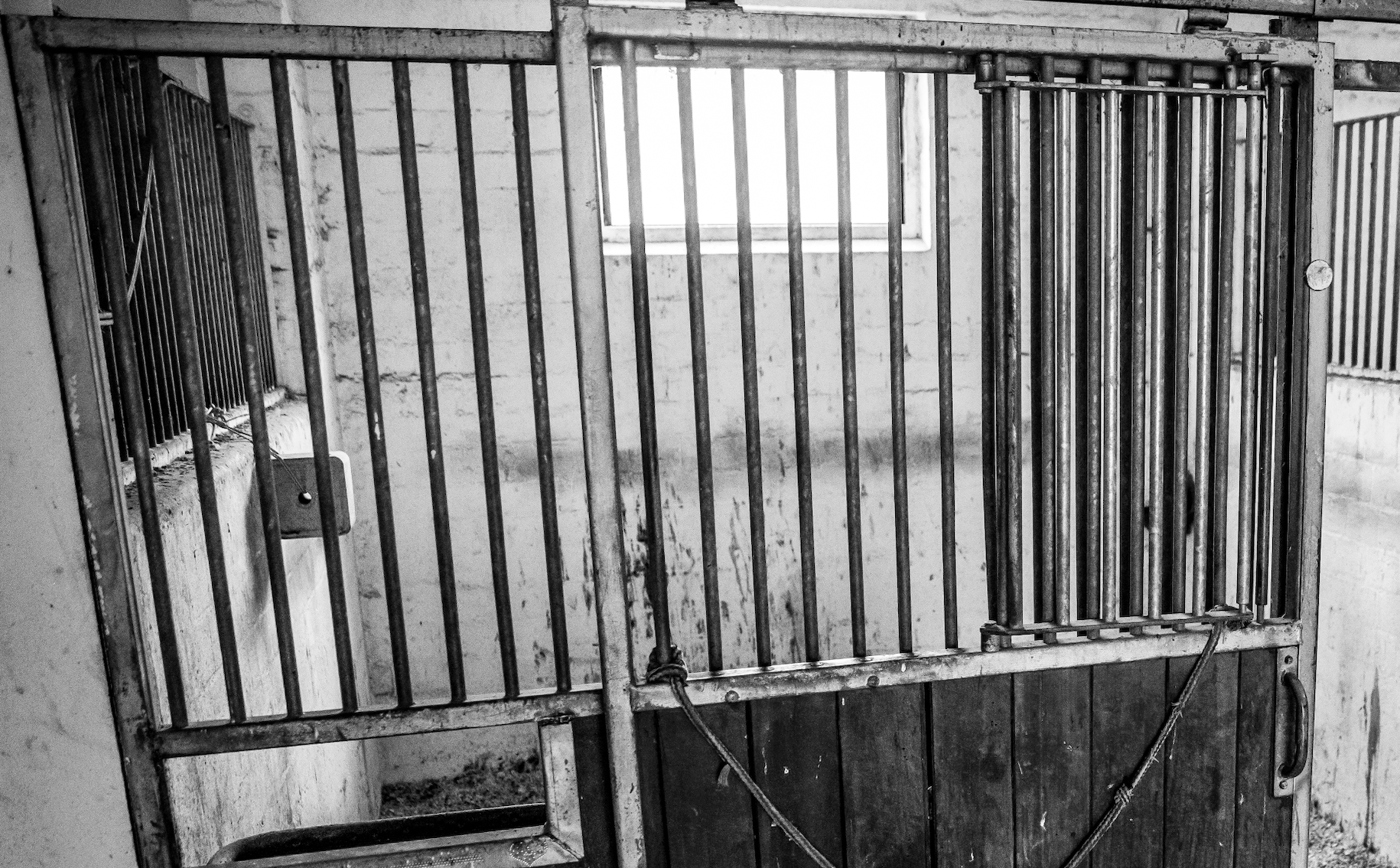 Preis der Besten-Sichtung Munich: Investigations continue