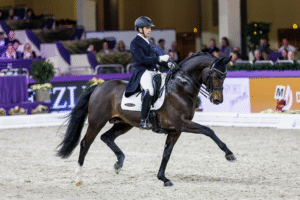 Second place for Escamillo at Grand Prix premiere