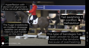 Abreit-Video aus Amsterdam von Charlotte Dujardin schlägt hohe Wellen