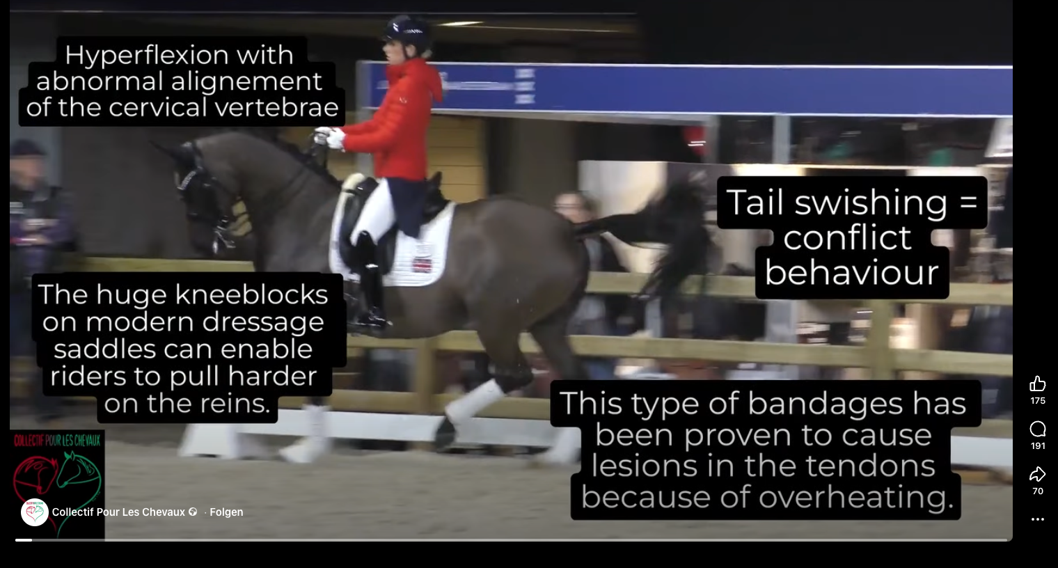 Abreit-Video aus Amsterdam von Charlotte Dujardin schlägt hohe Wellen