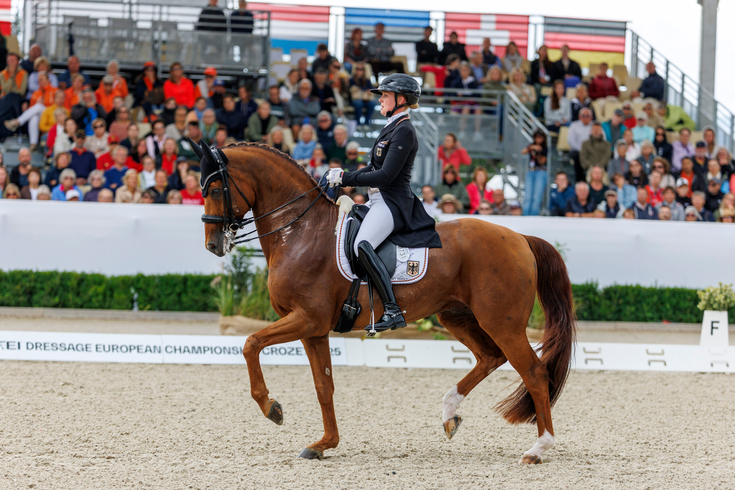 Hemmer und Denoix in eigener Liga