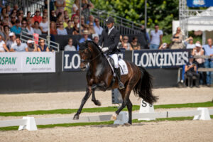 Dressurpferde-Weltmeister Revolution meldet sich in Spanien zurück