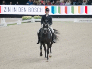 Hertogenbosch: Small mistakes, great sport and Raphi Netz in fifth place with a super performance