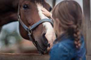 Associations submit demand for GOT revision to Minister of Agriculture