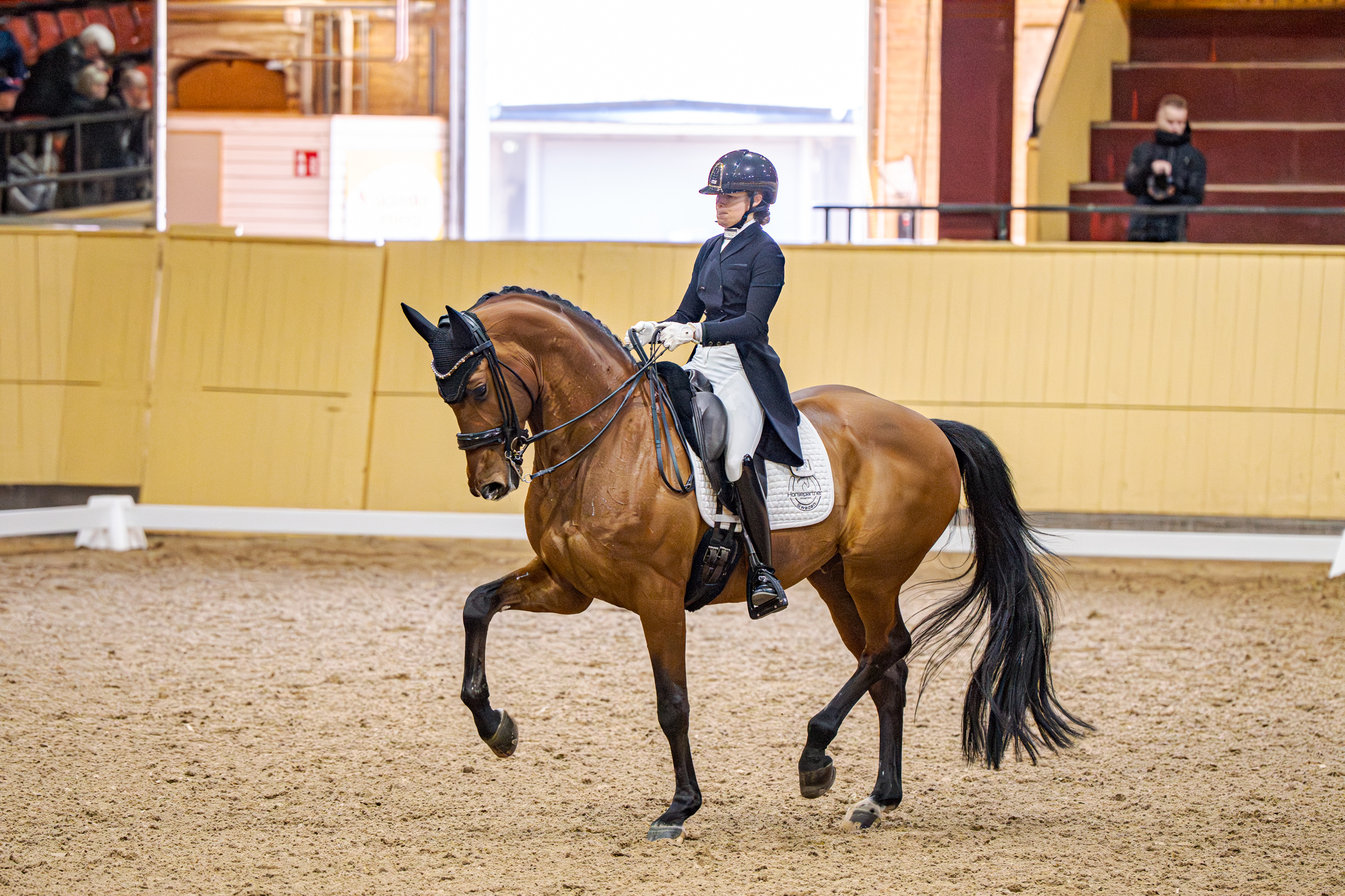 The only female squad rider in Flyinge: Rebecca Mauléon with Johnny Walker. Photo: Kim C. Lundin