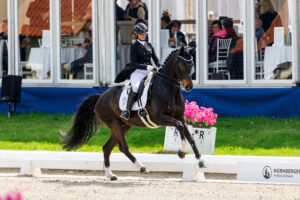 Horses & Dreams 2026