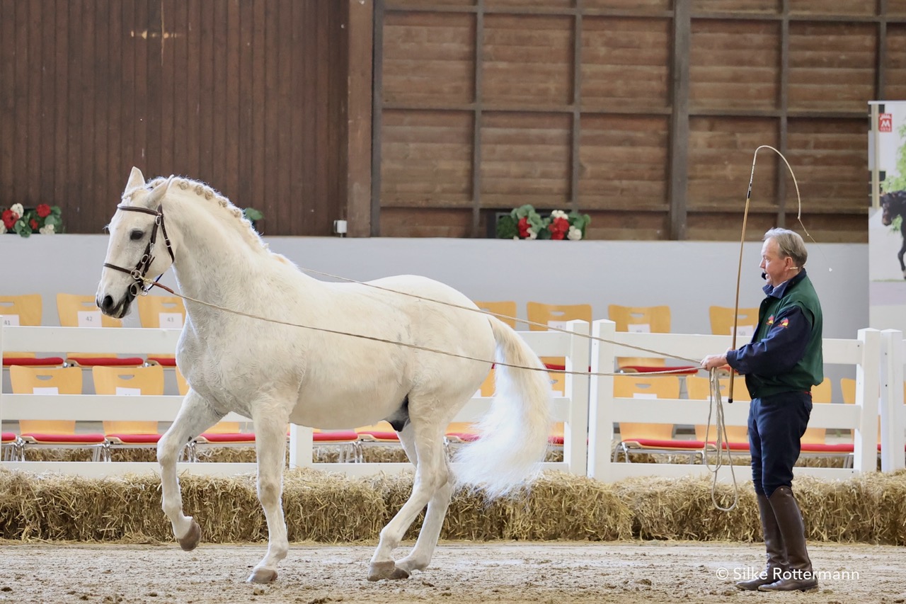 Meister vorne und hinten an den Leinen: Stefan Schneider und sein Lusitano. Foto: Silke Rottermann