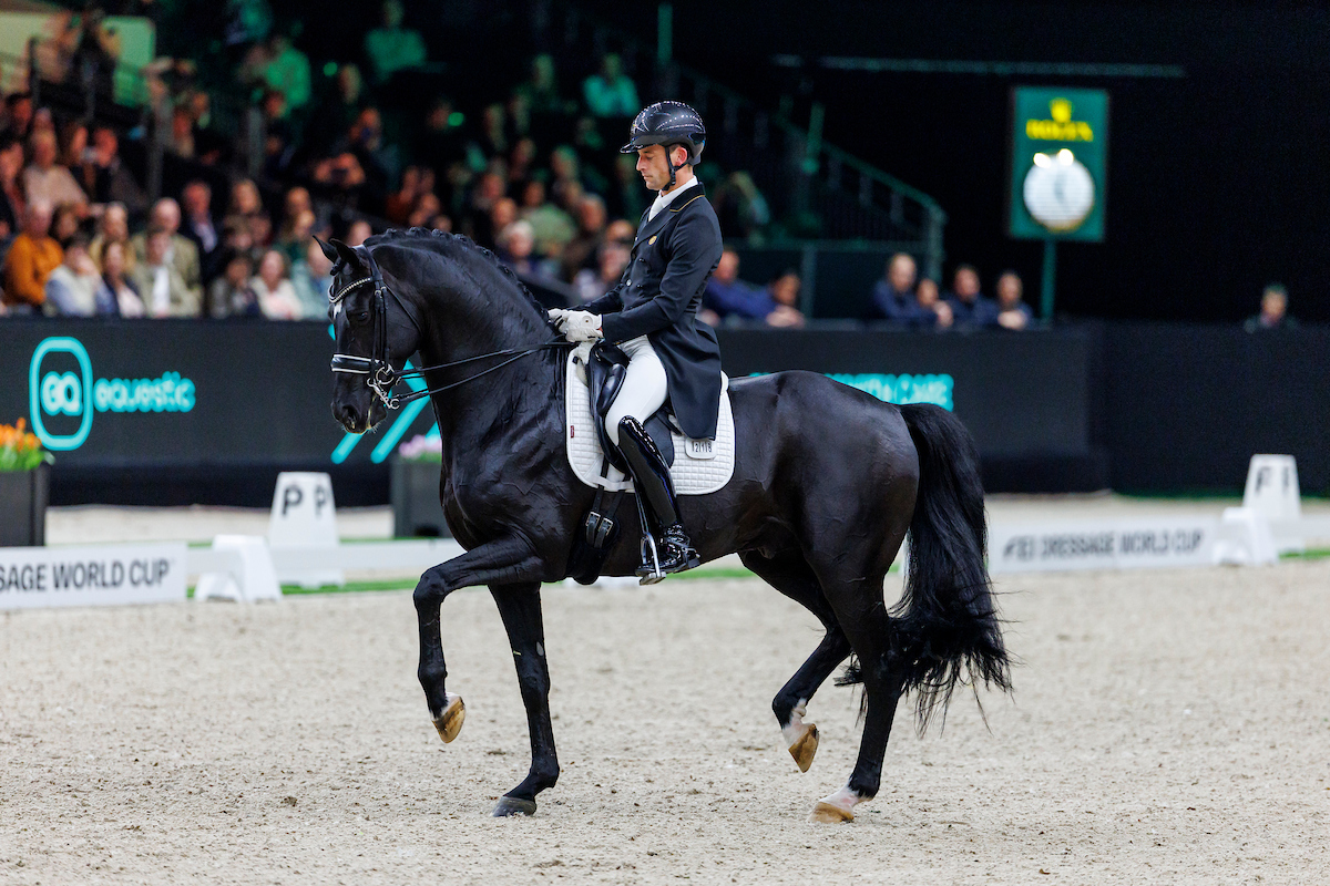 Verboomen wins against Fry in the duel of the black stallions