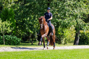 Siegreiches Inter II-Debüt für 2024er Vize-Bundeschampion Veuve Clicquot FRH