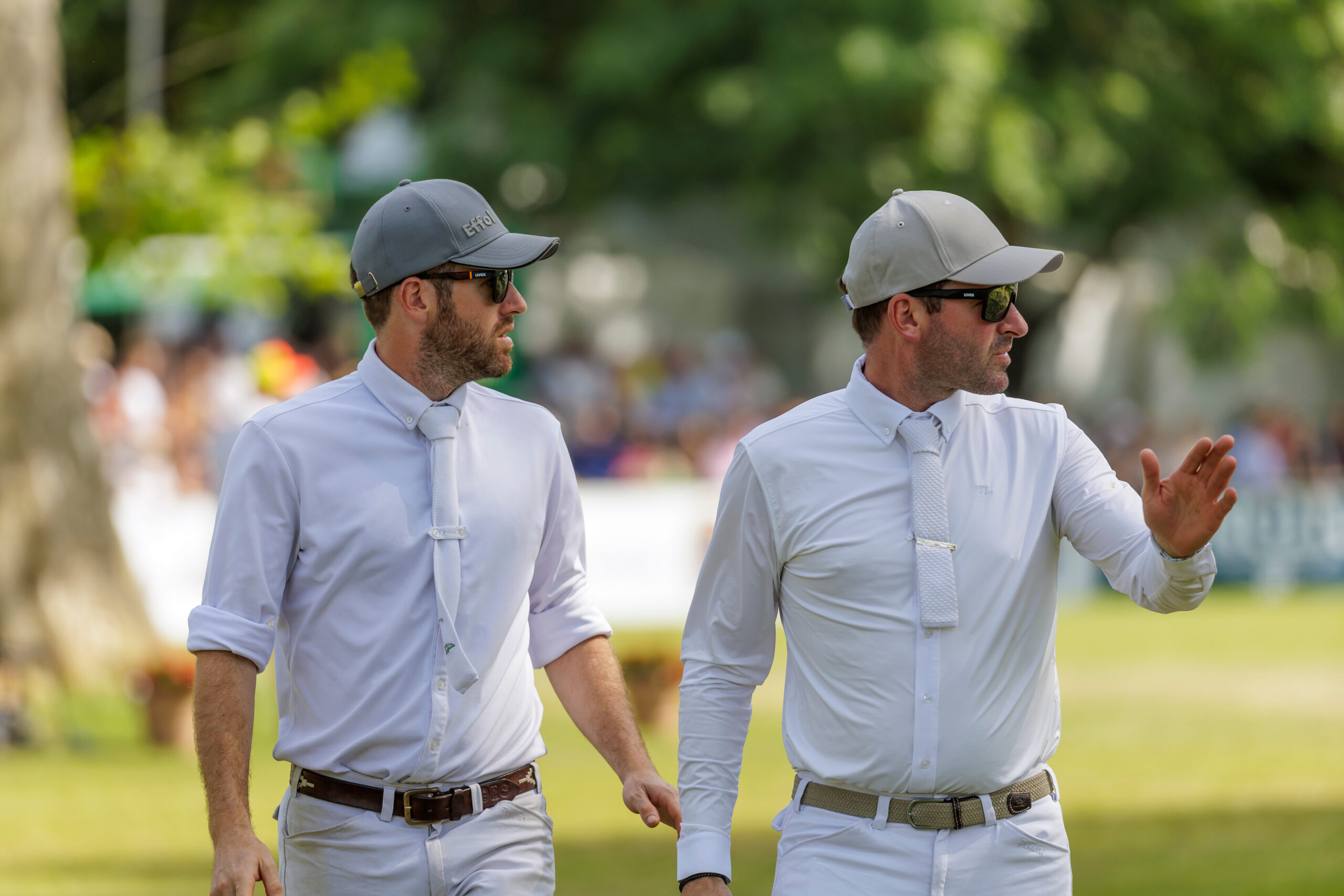 Philipp Weishaupt: „Pfleger und Pferde sicher aus Katar bekommen“