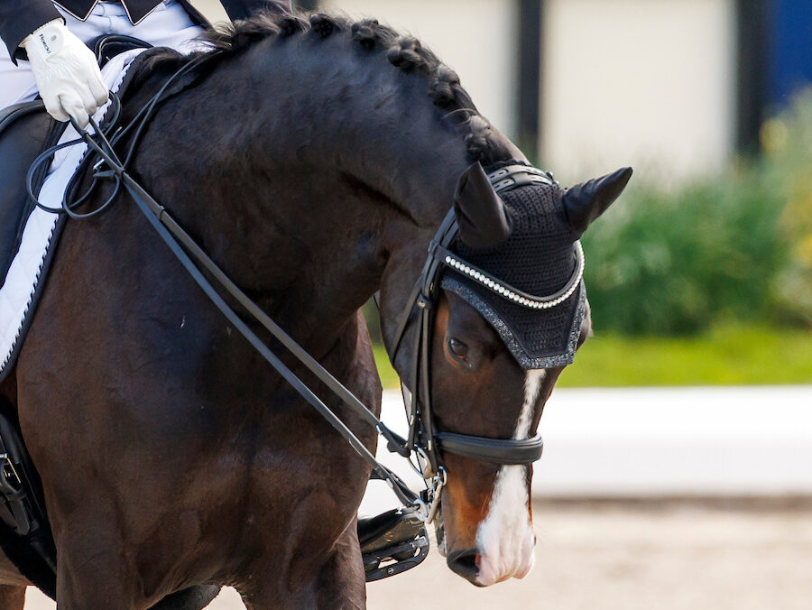 Kismet wins Grand Prix Special debut with Jessica von Bredow-Werndl in Ornago