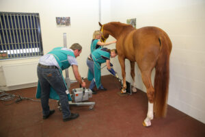 New 2026 X-ray guide is here