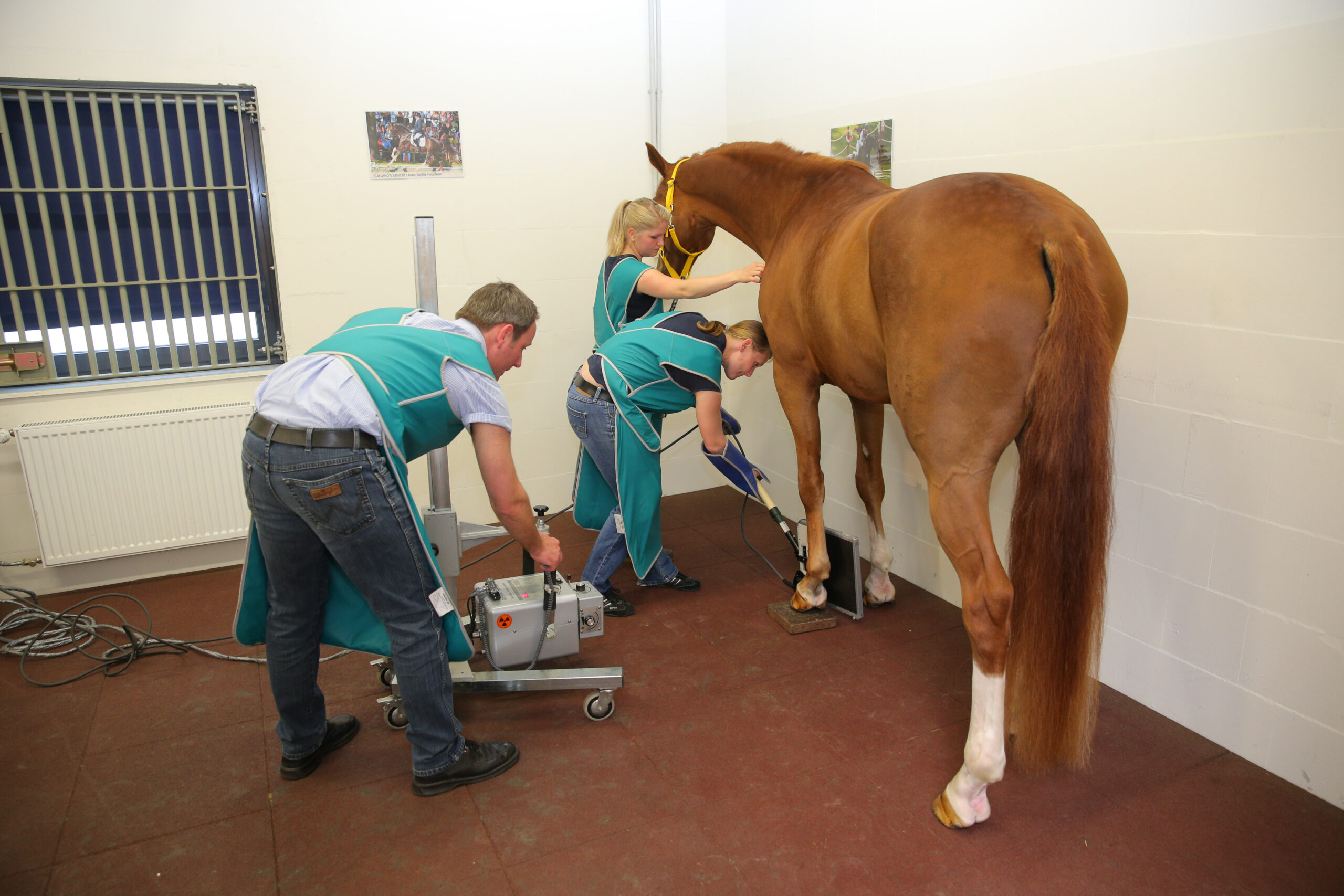 Neuer Röntgen-Leitfaden 2026 ist da
