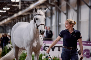 Kent Farrington’s Greya – wild horse, World Cup winner, super mom