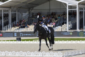 Favorite victories in Fontainebleau