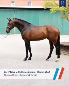 Four newcomers for Holstein at spring licensing