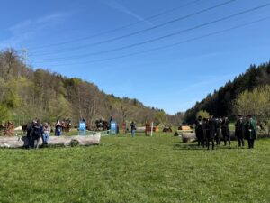 Undetonated world war bomb defused at Marbach Main and State Stud Farm