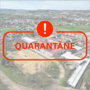 Update on the influenza outbreak in Stadl Paura