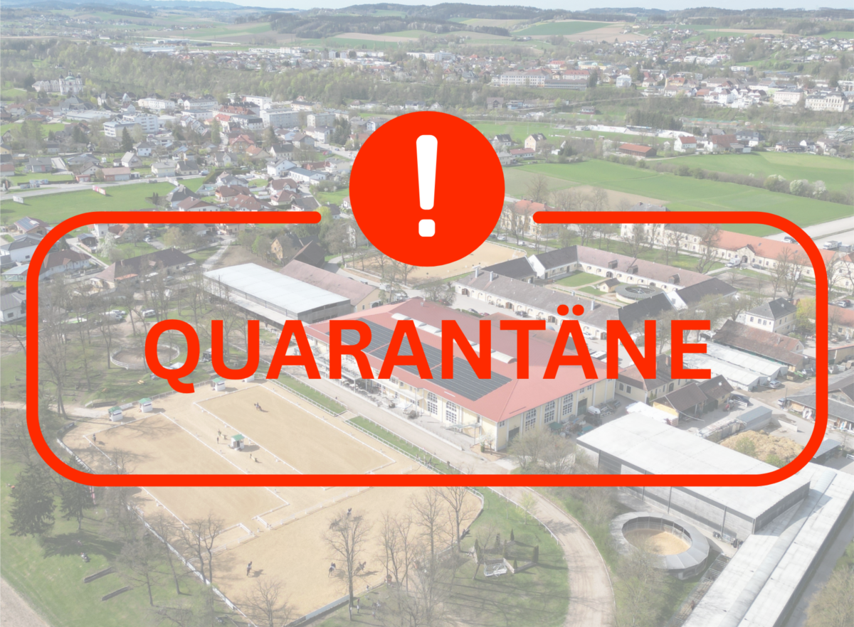 Influenza im Pferdezentrum Stadl-Paura