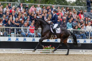 Romantic Prinz OLD – from the Bundeschampionat to the Grand Prix arena