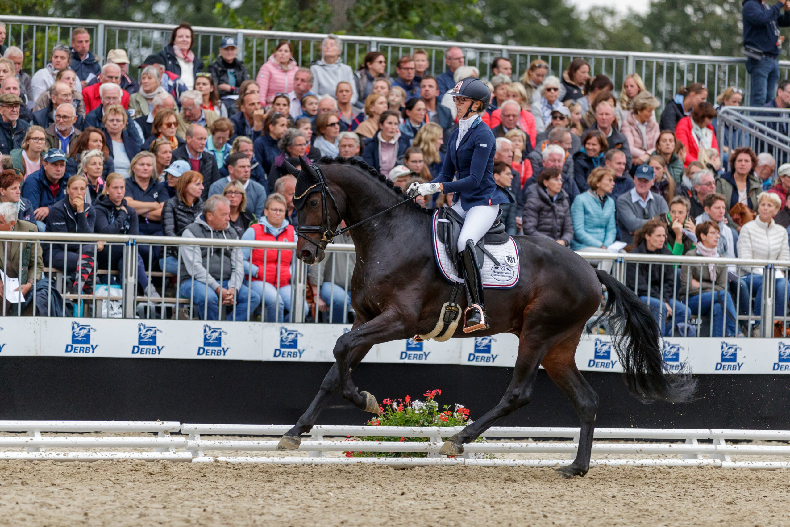Romantic Prinz OLD – vom Bundeschampionat ins Grand Prix-Viereck