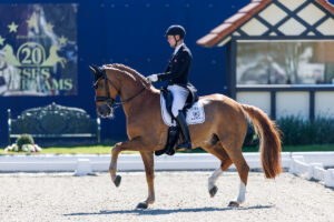 Grand Prix freestyle for newcomers at the Horses & Dreams 2026