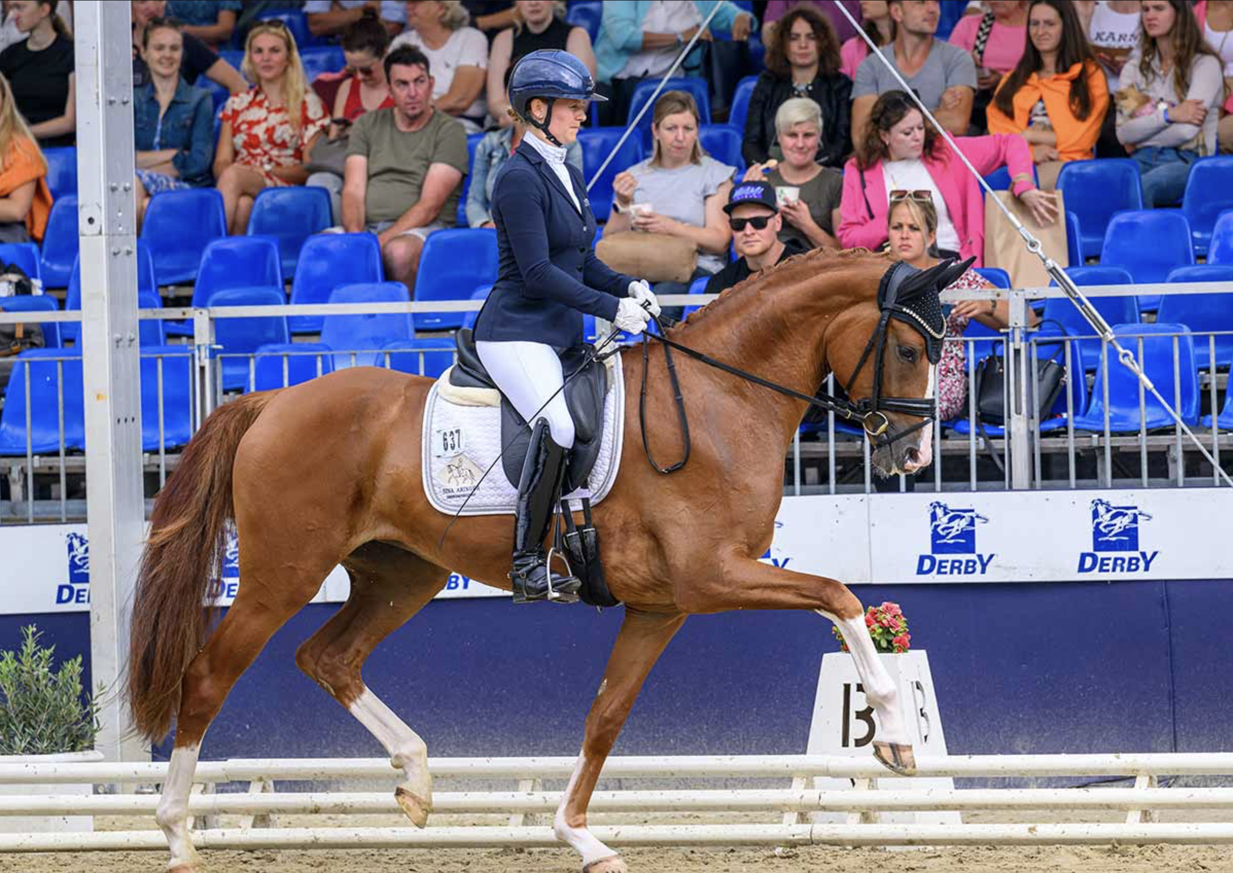 550.000 Euro-Bundeschampionesse wieder für Warendorf qualifiziert